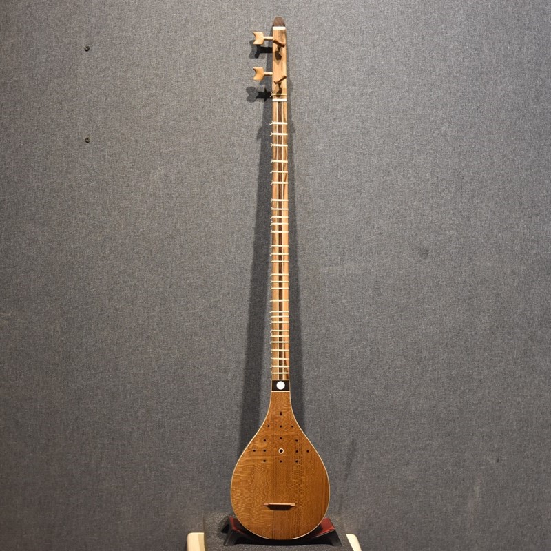 DSC_0012 Setar with Nadali's stamp - Image 1