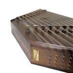 Mousavi's 14-stringed santour